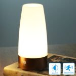LED TABLE LAMP